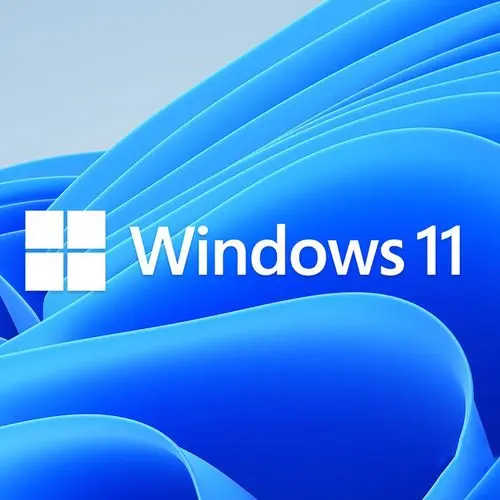 简单粗暴的Windows11在线安装方法（无视硬件标准和TMP2.0）